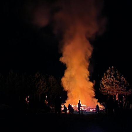 Ferienpark-Canow エクステリア 写真