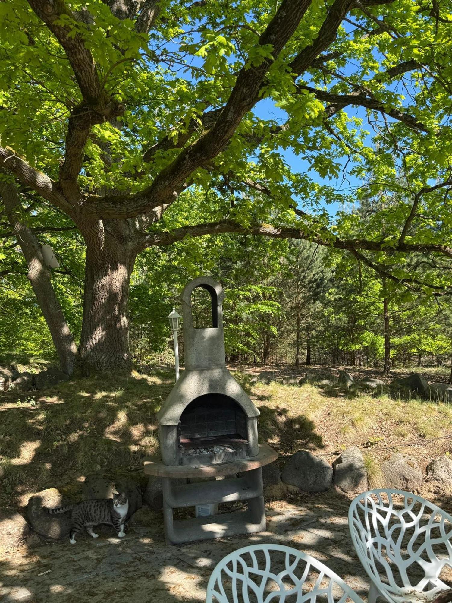 Ferienpark-Canow エクステリア 写真