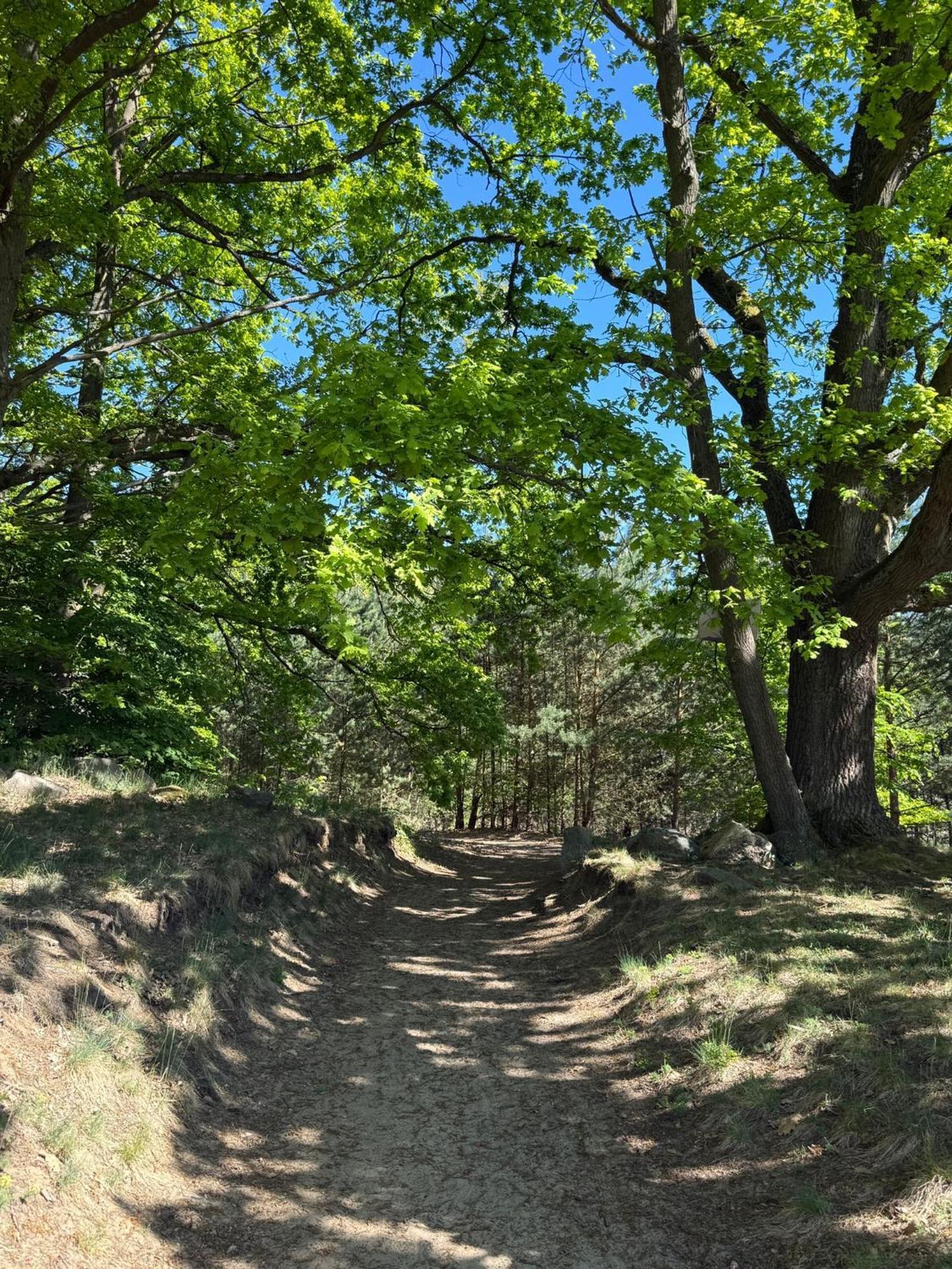 Ferienpark-Canow エクステリア 写真